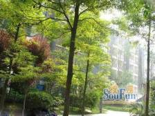 凯丽景湖 3室2厅 南