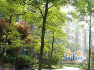 五洲广场凯丽景湖带2个产权车位电梯小高层中间层清水