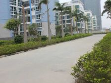 中南锦绣花园候鸟两房万达广场银滩红树林拎包入住