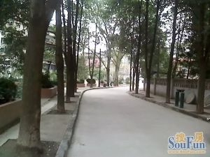 安居5号院2室1厅南