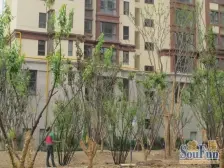 户型方正采光佳视野开阔上下两层带地下室