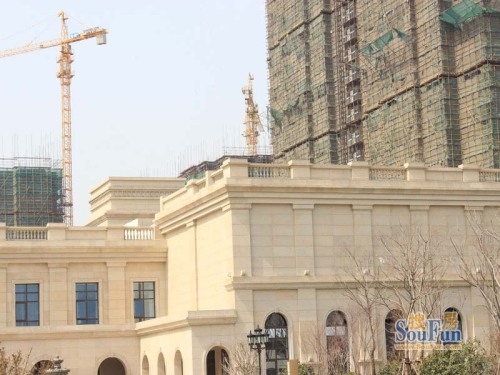 四季金辉实景图实景图2013-3-15
