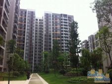 近地铁!电梯套四!中铁塔米亚2/12