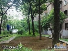 龚北路1室1厅东南南