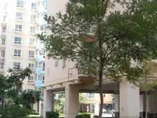 西客站 明珠家园东南向两室 落地窗户型方正