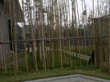 西城尚锦 3室2厅 南