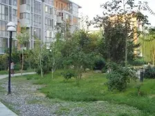 纬二路和政一街乙院,能停车,双气可贷款