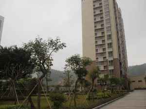 御林翠苑3室2厅南