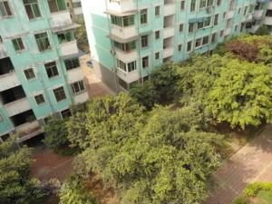 出行方便,此房户型方正,居住方便舒适