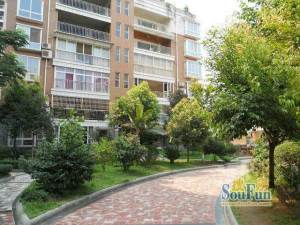 电梯大三房 房东诚心出售 看房方便