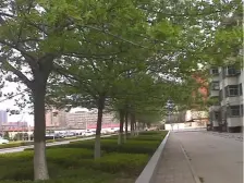 同乐站地铁口300米 标准两室 户型方正 5楼 采光好