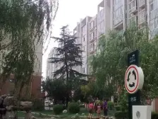 好楼层 毛坯 可随意装修 急售 采光没问题