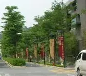 北一街小区