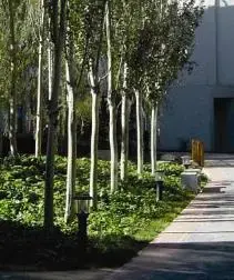 北一街小区