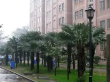 建设路西三环地铁口,方正三房,旁边麦德龙,伊河路