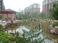 顺驰第一大街浅水湾三楼精装修大四房