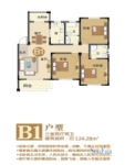 户型一期B1户型