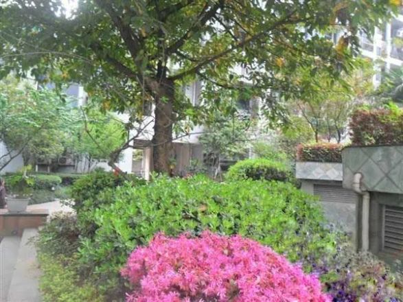 领地国际公寓实景图