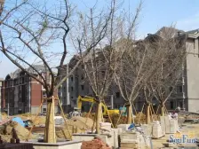 竹韵花园 一室毛坯 电梯房 好楼层 全天采光