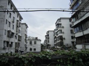 白马新村2室1厅南