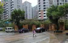 鹤林新城 电梯房 精装一房一厅 户型方正拎包入住