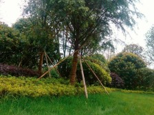 近两年精装150万,中高层无遮挡江景房,诚心卖