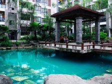 碧园南城故事双地铁口 南北通透大3房