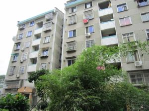 乐苑新村2室1厅南