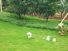 保利二期 电梯低层 朝南看园林