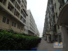 大德玲珑湾1室1厅南