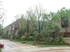 联排别墅,大开间,环境优美,交通便利