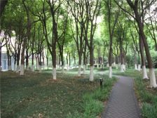 万里·中鹰黑森林·3室·0厅