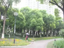 中鹰黑森林 1室2厅 南