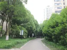 中鹰黑森林11号3室2厅2卫南朝向1550.00万元/套出售