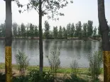 周边龙凤新河