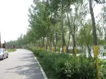 周边龙凤新河