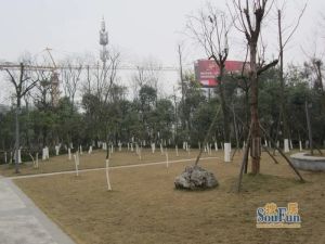 荣盛花语城2室2厅南