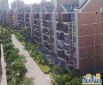 金霞南苑北区 中间楼层 看房方便