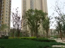 中廣宜景湾·尚城 3室2厅 东 西