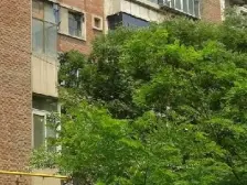 此房是单位家属院,通透的格局,采光充足,出入方便