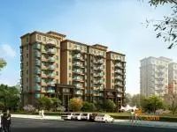 通透格局,楼层好,视野开阔,采光充足,随时可以看房