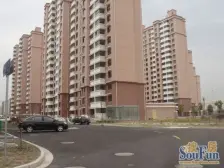 金沁苑 3室2厅 南