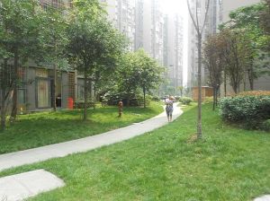 上东一号二期2室1厅南