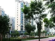 兰通厂 35号楼 好房出租 看房方便 价格可谈