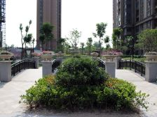 御景城 2室2厅 南