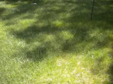 天庆?格林小镇东区 2室1厅 南 北