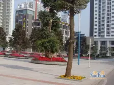 城南新区 福星名居二房61万