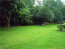 洲际银海湾 4室1厅 东南 西北