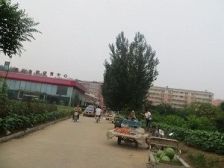 崇文名都 3室1厅 南 北