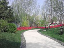 房子精装修,采光好,位置好,出行方便